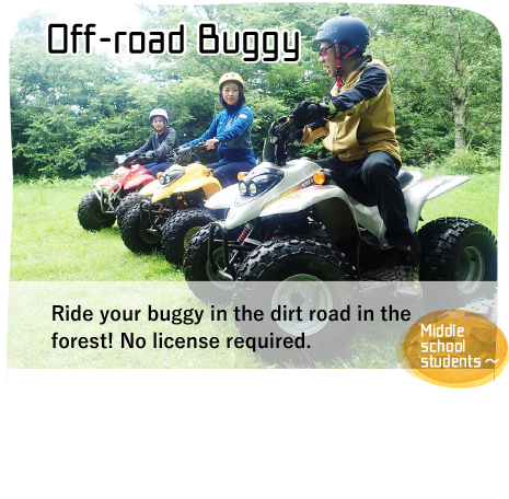 Off-road Buggy